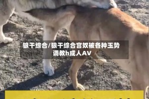 狼干综合/狼干综合宫奴被各种玉势调教h成人AV