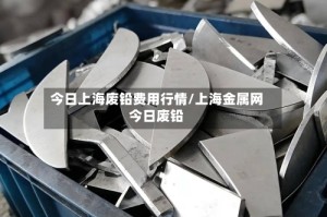 今日上海废铅费用行情/上海金属网今日废铅