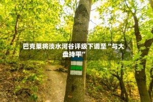 巴克莱将淡水河谷评级下调至“与大盘持平”