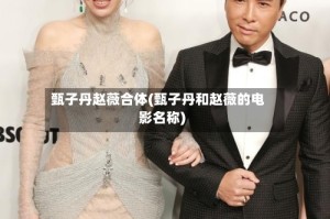 甄子丹赵薇合体(甄子丹和赵薇的电影名称)