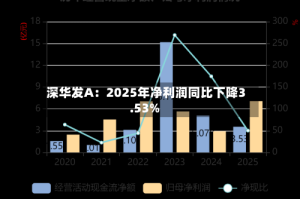深华发A：2025年净利润同比下降3.53%