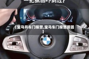 【宝马开车门报警,宝马车门报警原因】