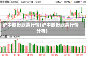 沪中股份股票行情(沪中股份股票行情分析)