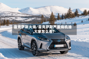 雷克萨斯火烧/雷克萨斯严重烧机油,大家怎么看?