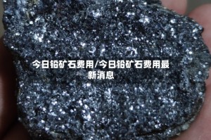 今日铅矿石费用/今日铅矿石费用最新消息