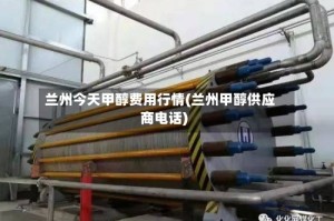 兰州今天甲醇费用行情(兰州甲醇供应商电话)