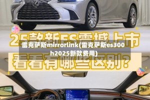 雷克萨斯mirrorlink(雷克萨斯es300h2025新款费用)