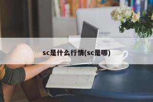 sc是什么行情(sc是哪)