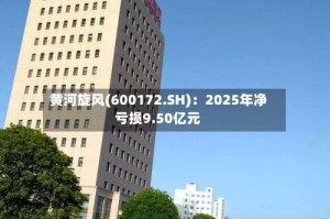 黄河旋风(600172.SH)：2025年净亏损9.50亿元