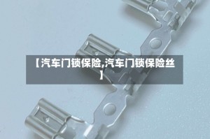 【汽车门锁保险,汽车门锁保险丝】