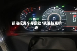凯迪拉克车身震动/凯迪拉克响声