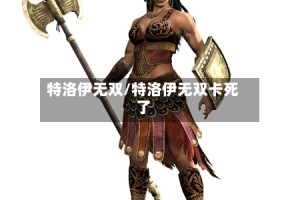 特洛伊无双/特洛伊无双卡死了