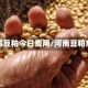豫鸣豆粕今日费用/河南豆粕厂