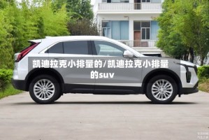 凯迪拉克小排量的/凯迪拉克小排量的suv