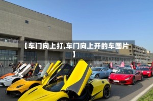 【车门向上打,车门向上开的车图片】