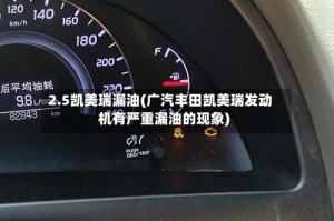 2.5凯美瑞漏油(广汽丰田凯美瑞发动机有严重漏油的现象)