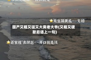 国产又粗又猛又大爽老大爷(又粗又硬歇后语上一句)