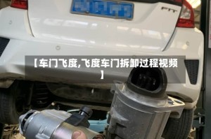 【车门飞度,飞度车门拆卸过程视频】
