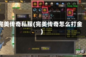 完美传奇私服(完美传奇怎么打金)