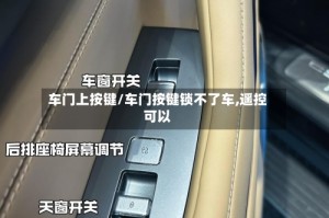 车门上按键/车门按键锁不了车,遥控可以