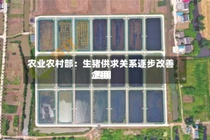 农业农村部：生猪供求关系逐步改善 费用企稳