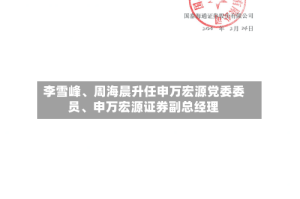 李雪峰、周海晨升任申万宏源党委委员、申万宏源证券副总经理