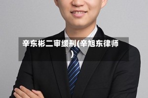 辛东彬二审缓刑(辛旭东律师)