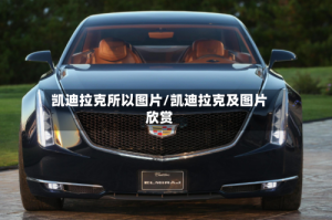 凯迪拉克所以图片/凯迪拉克及图片欣赏