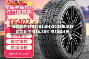 三角轮胎(601163.SH)2025年净利润同比下滑16.30% 拟10派4元