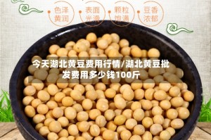 今天湖北黄豆费用行情/湖北黄豆批发费用多少钱100斤
