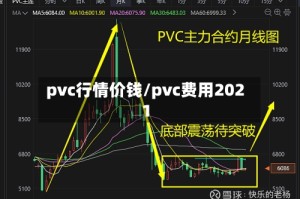 pvc行情价钱/pvc费用2021