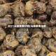 2021马蹄费用行情(马蹄费用走势)