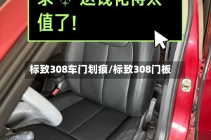 标致308车门划痕/标致308门板