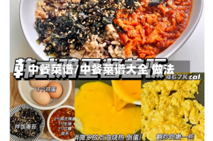 中餐菜谱/中餐菜谱大全 做法