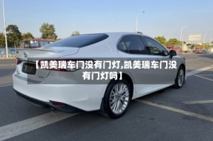 【凯美瑞车门没有门灯,凯美瑞车门没有门灯吗】