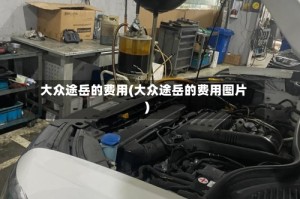 大众途岳的费用(大众途岳的费用图片)