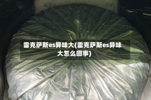 雷克萨斯es异味大(雷克萨斯es异味大怎么回事)