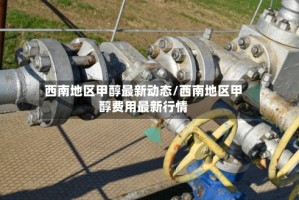 西南地区甲醇最新动态/西南地区甲醇费用最新行情