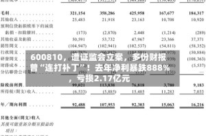 600810，遭证监会立案，多份财报曾“连打补丁”！去年净利暴跌888%，亏损2.17亿元
