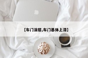 【车门涂层,车门基体上漆】