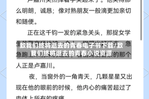 致我们终将逝去的青春电子书下载/致我们终将逝去的青春小说资源