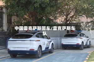 中国雷克萨斯警车/雷克萨斯车队