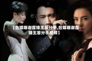 【台媒曝谢霆锋王菲分手,台媒曝谢霆锋王菲分手视频】