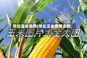 华北玉米走势(华北玉米费用走势)