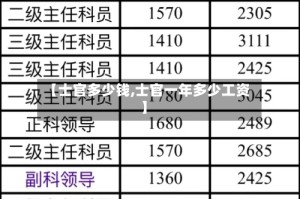 【士官多少钱,士官一年多少工资】