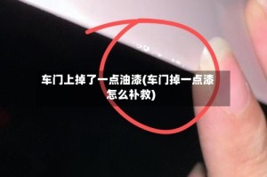 车门上掉了一点油漆(车门掉一点漆怎么补救)