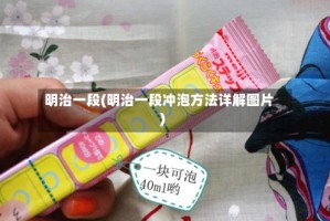 明治一段(明治一段冲泡方法详解图片)