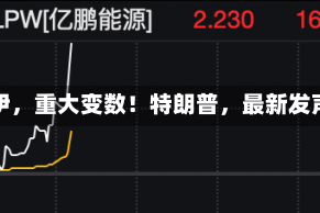 美伊，重大变数！特朗普，最新发声