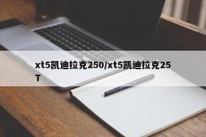 xt5凯迪拉克250/xt5凯迪拉克25T