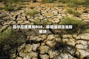 厄尔尼诺叠加B50，棕榈油领涨油脂板块